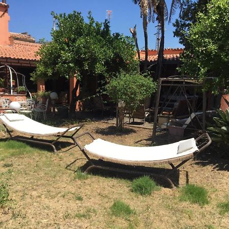 לסקארי B B Casa Vacanze Il Pino Di Pino מראה חיצוני תמונה
