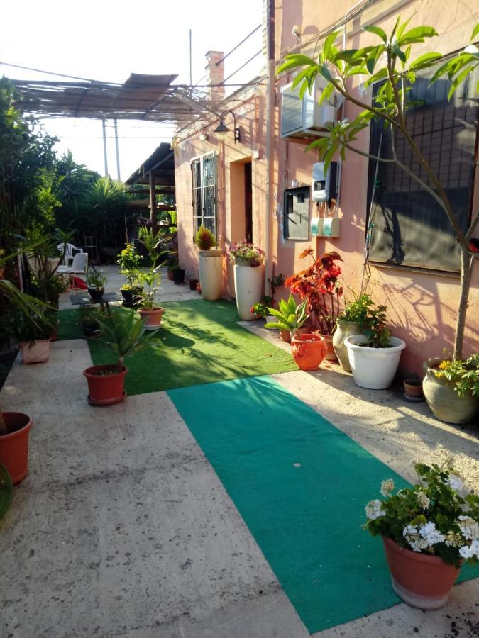 לסקארי B B Casa Vacanze Il Pino Di Pino מראה חיצוני תמונה